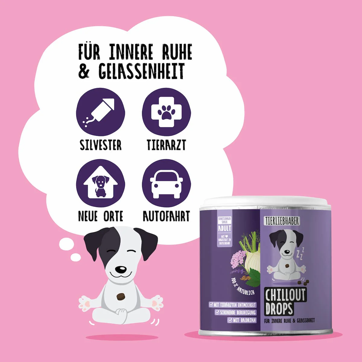 Vorschaubild 8