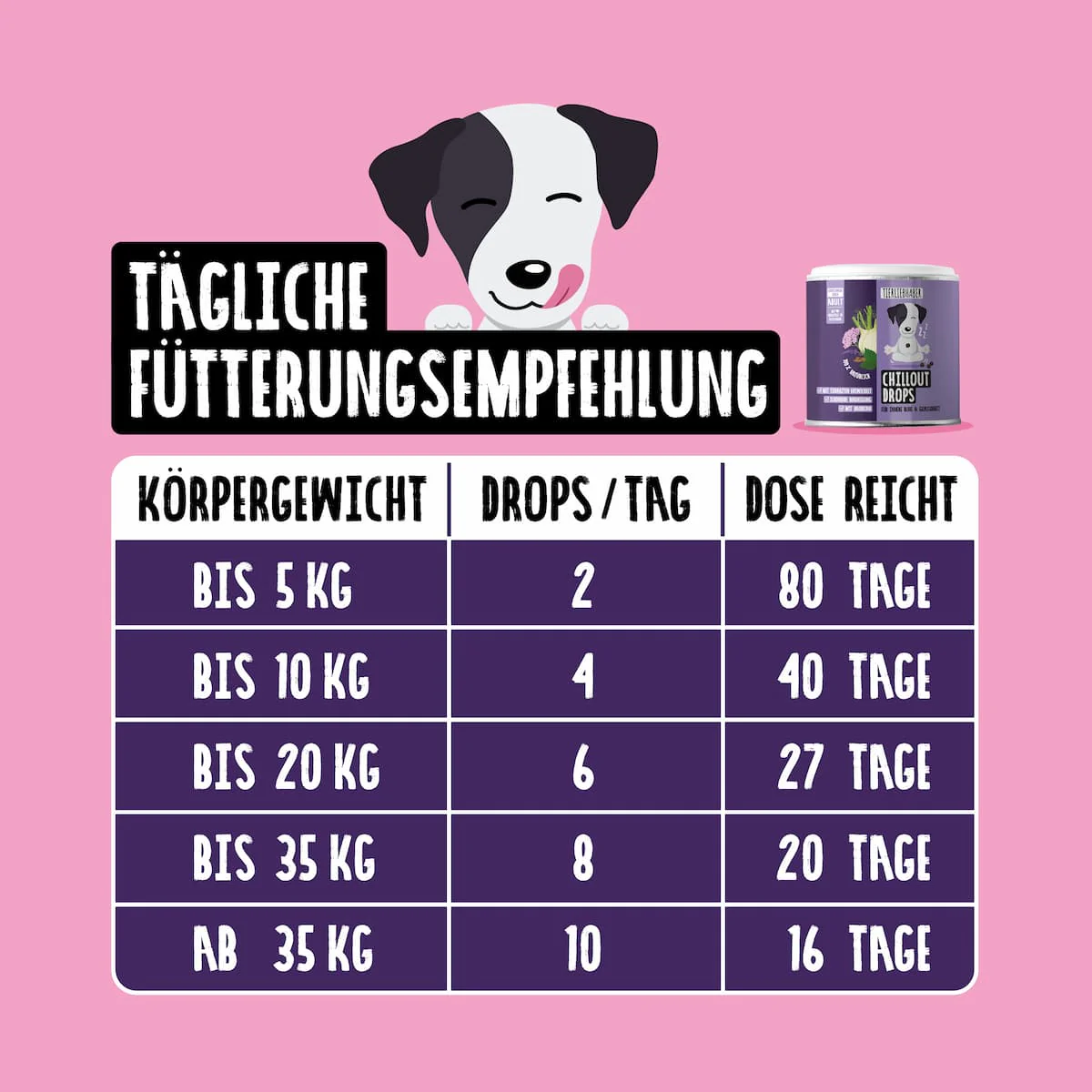 Vorschaubild 9