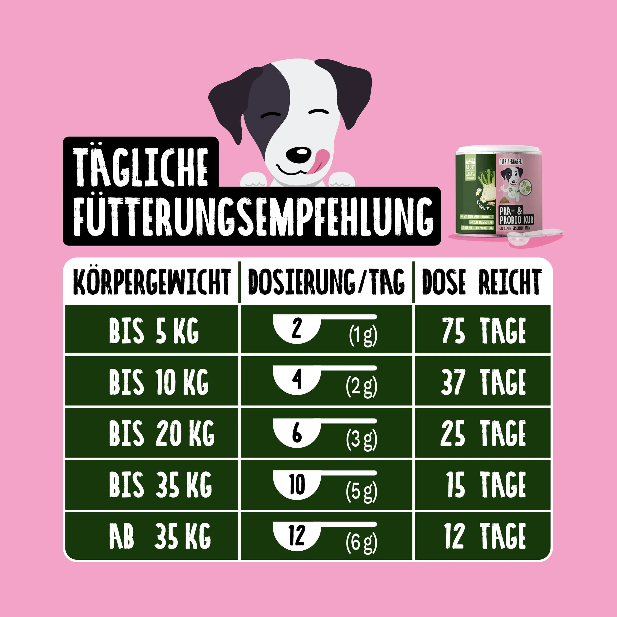 Vorschaubild 6