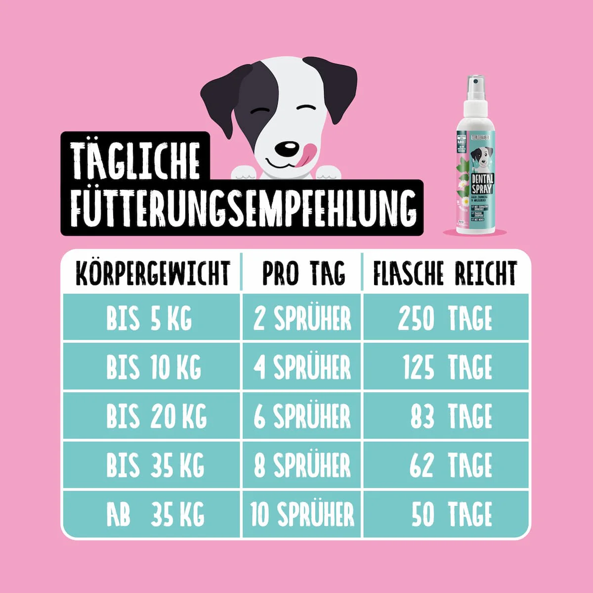 Vorschaubild 8