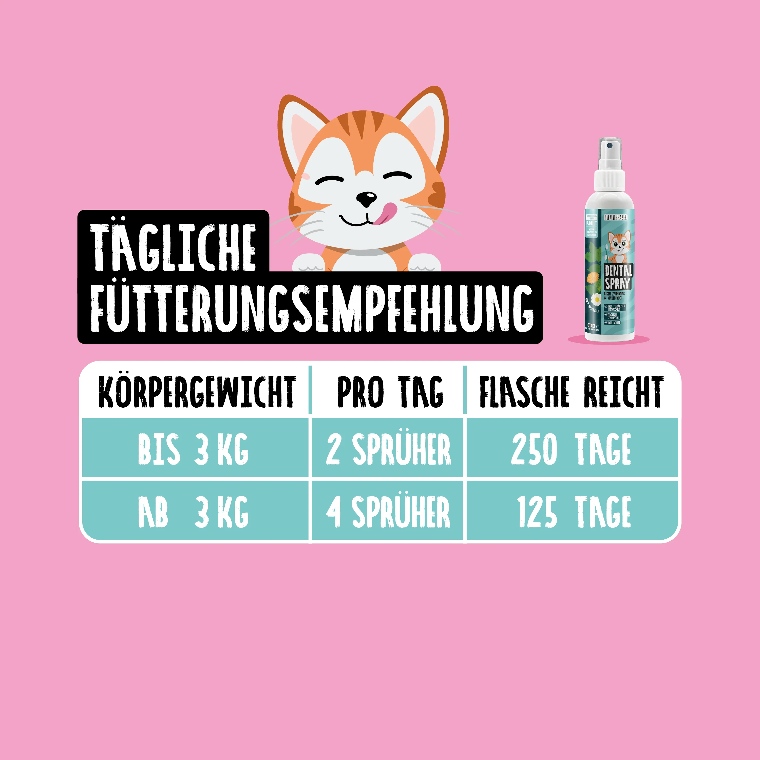 Vorschaubild 8