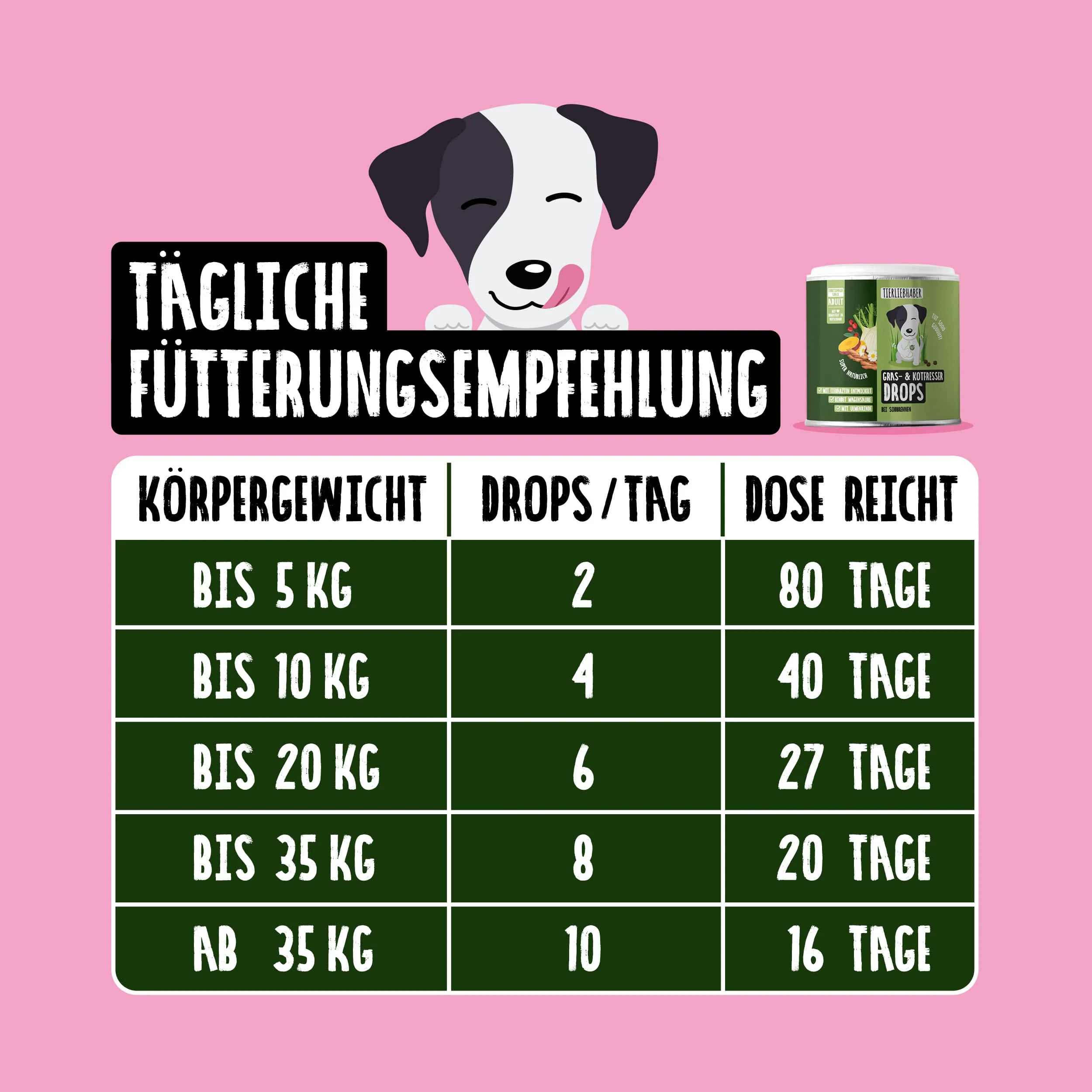 Vorschaubild 7