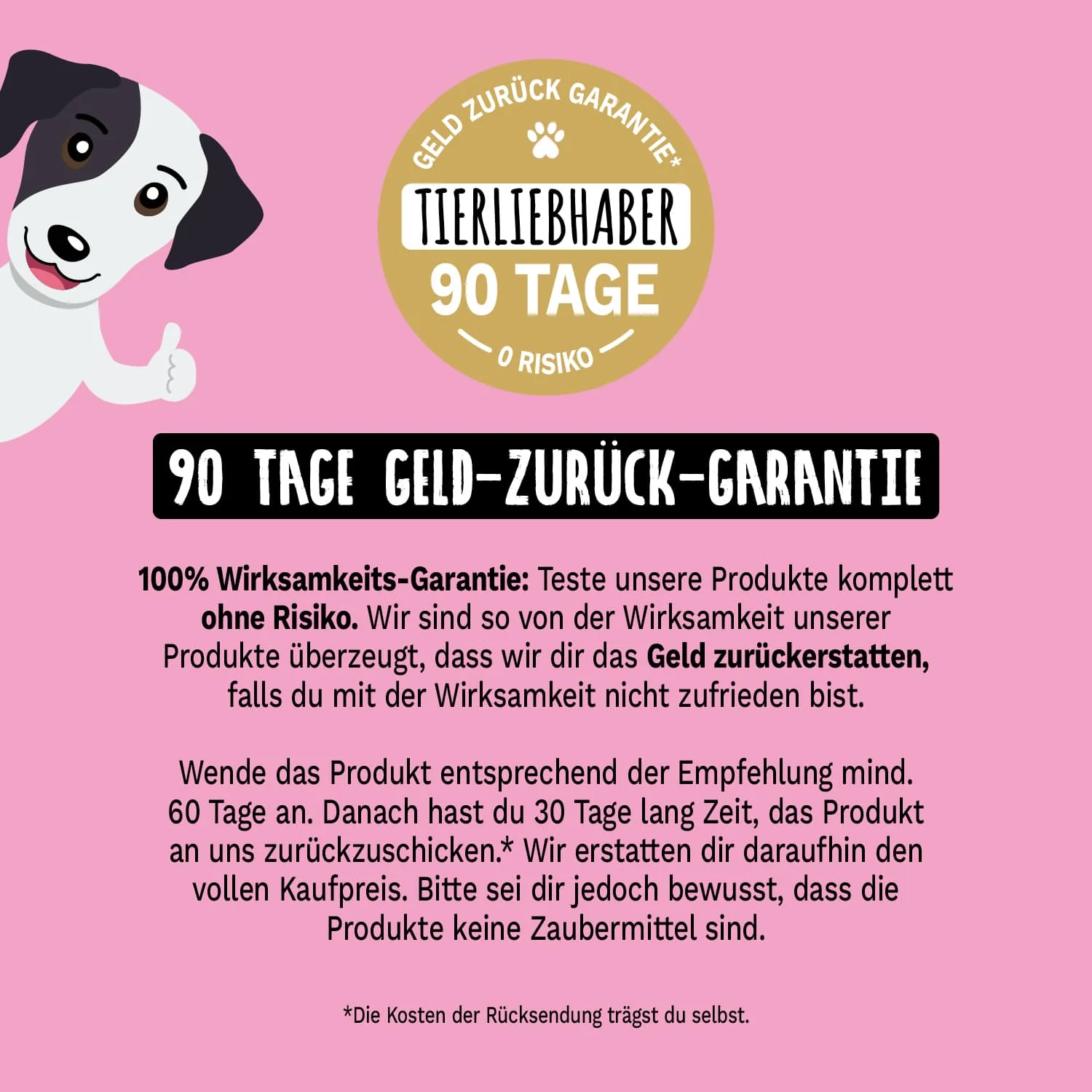 Vorschaubild 8