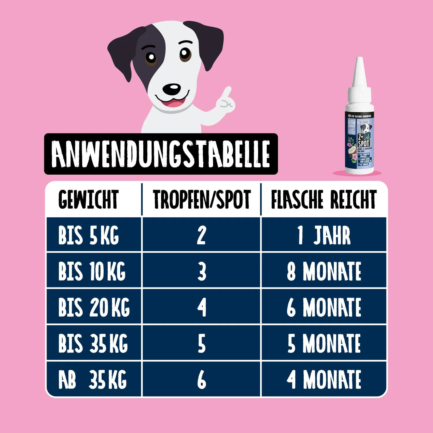 Vorschaubild 7