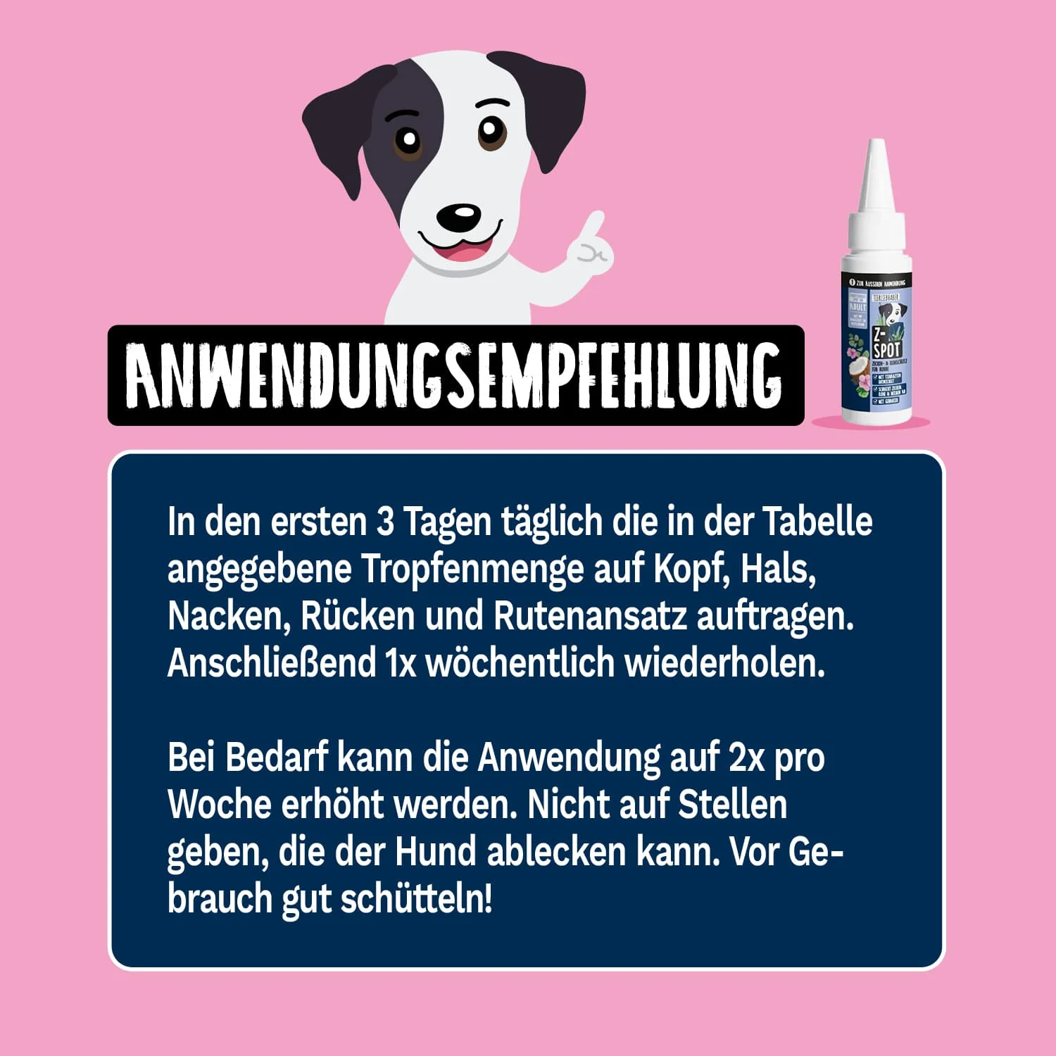 Vorschaubild 8