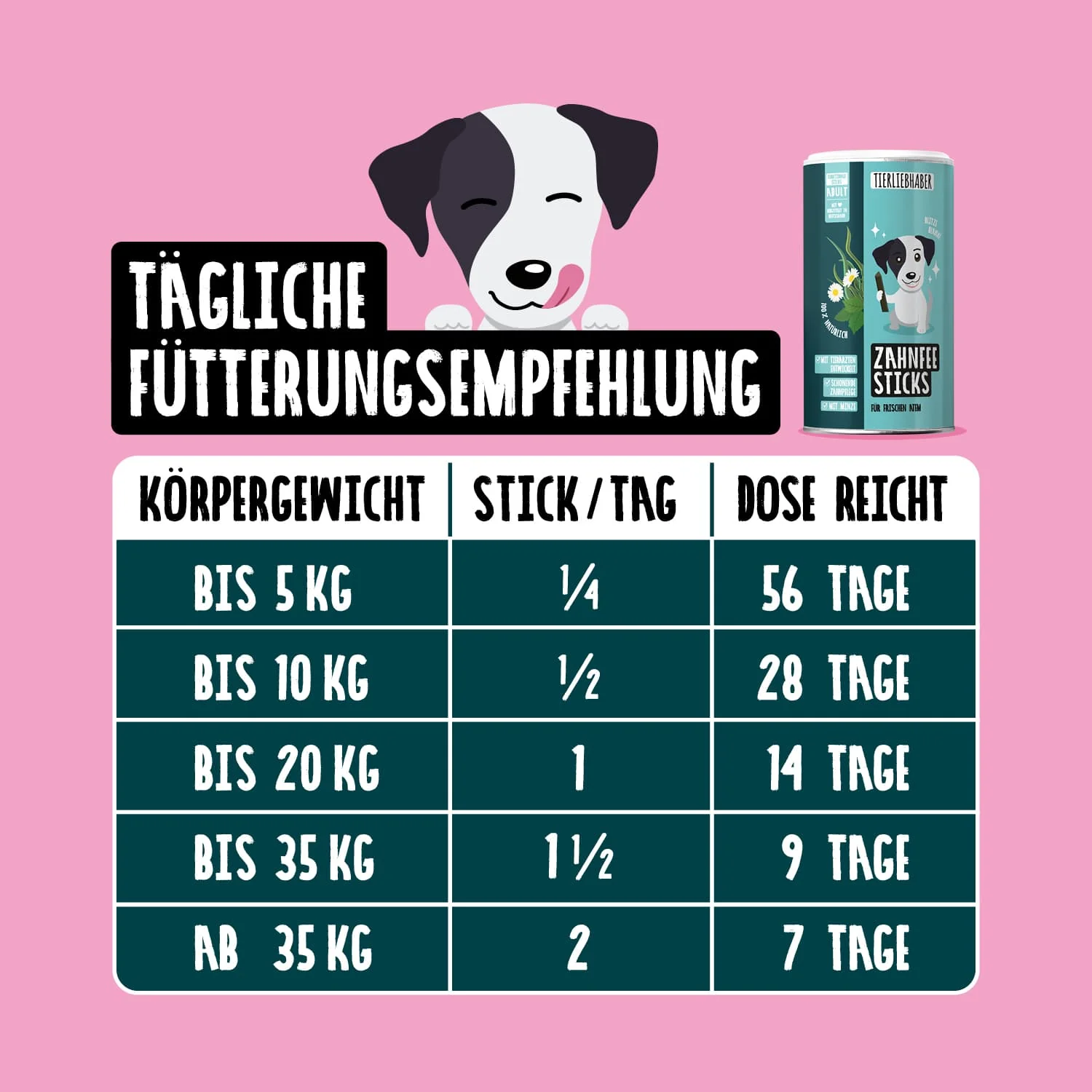 Vorschaubild 7
