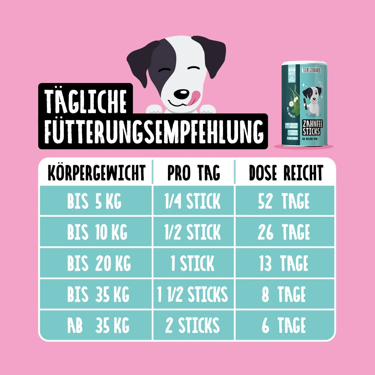 Vorschaubild 8